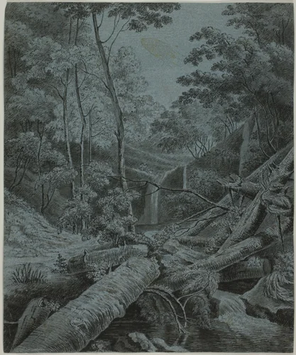 Waterfall and Fallen Logs in Forest by Unknown Artist, drawing, 1700-1799