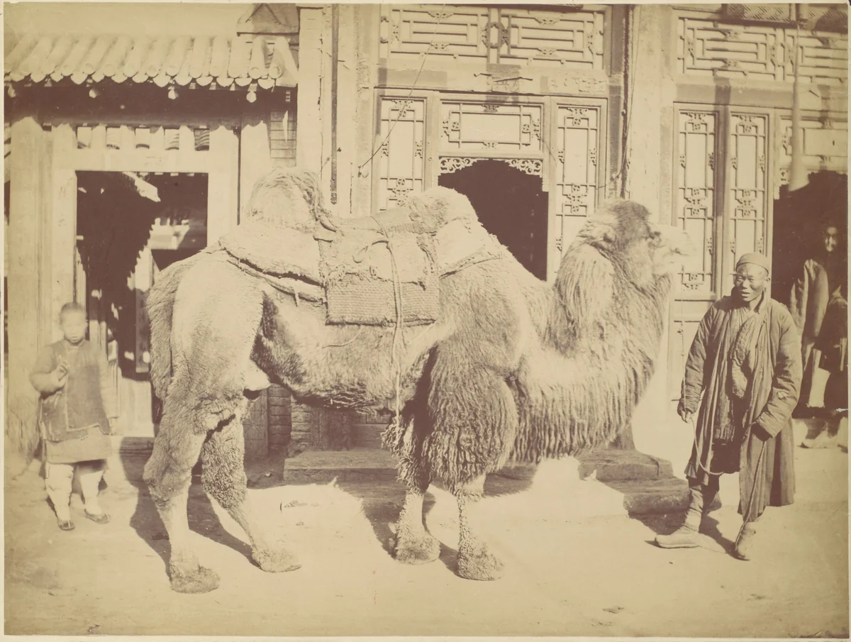 Pekin. No. 923 by Lai Afong, photograph, 1867