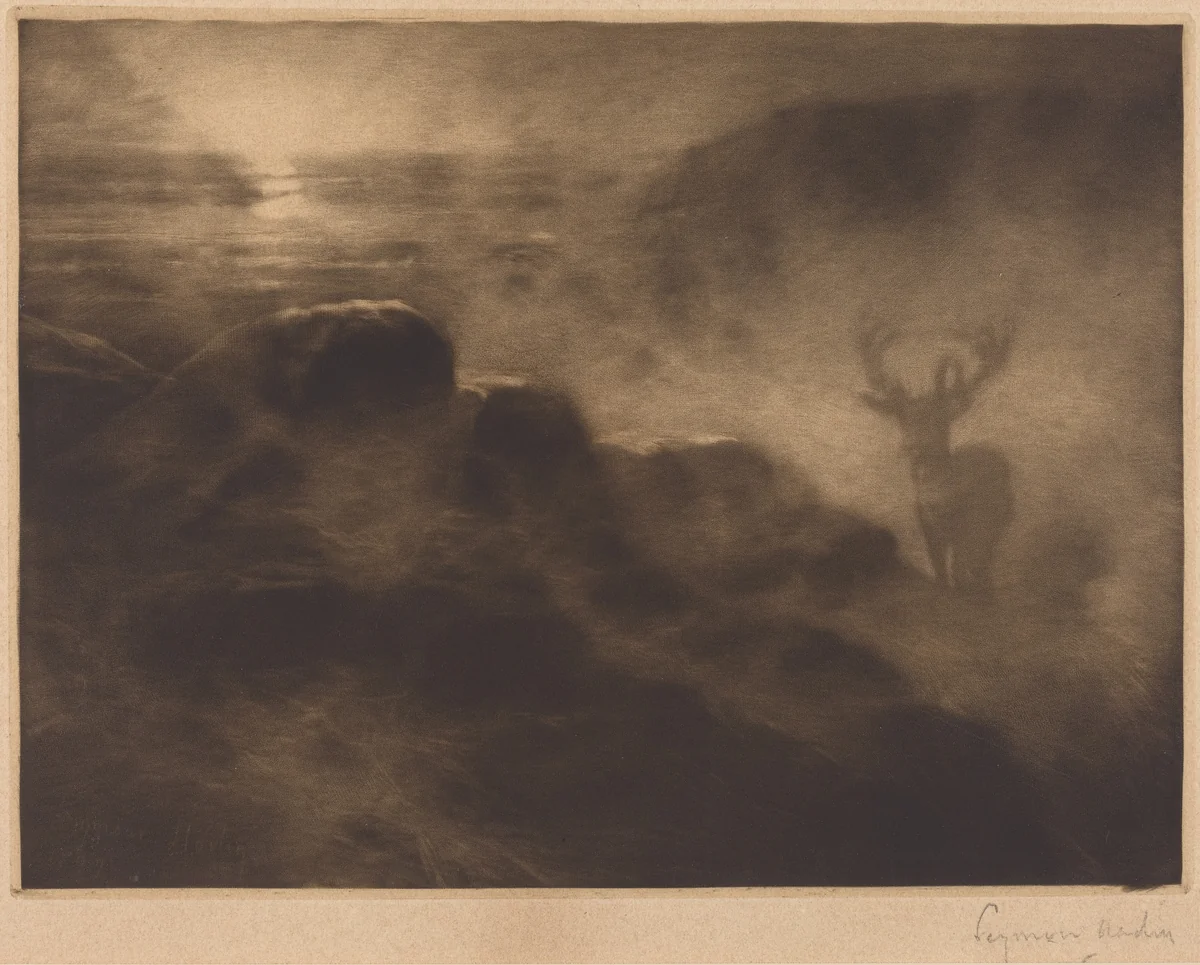 An Early Riser by Francis Seymour-Haden, print, 1897