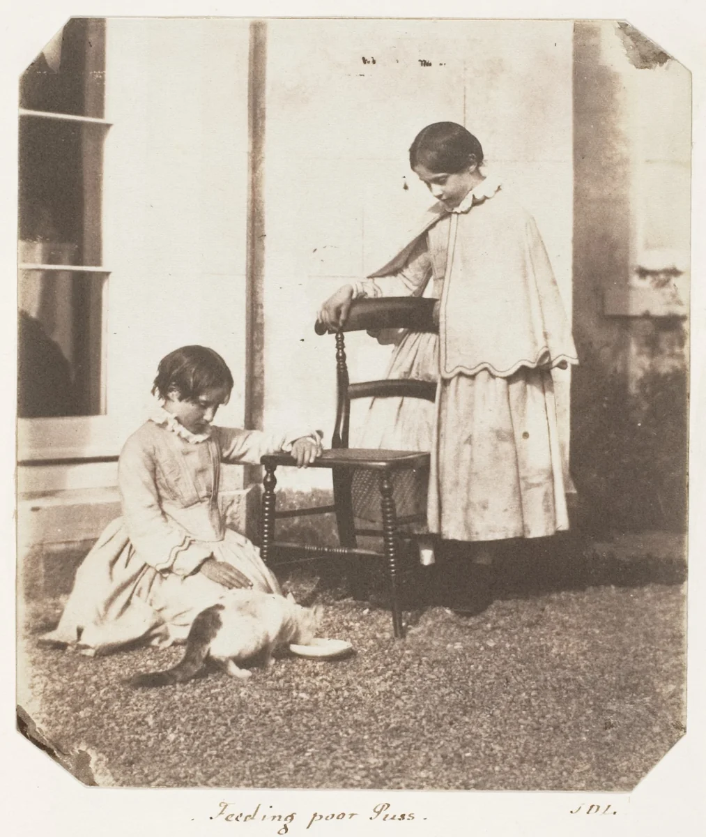 Feeding Poor Puss by John Dillwyn Llewelyn, photograph, 1853-1856