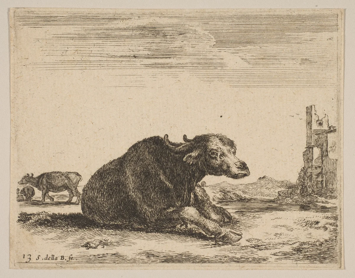 Plate 13: Buffalo lying down, from "Various animals" (Diversi animali) by Stefano della Bella, print, 1636-1646