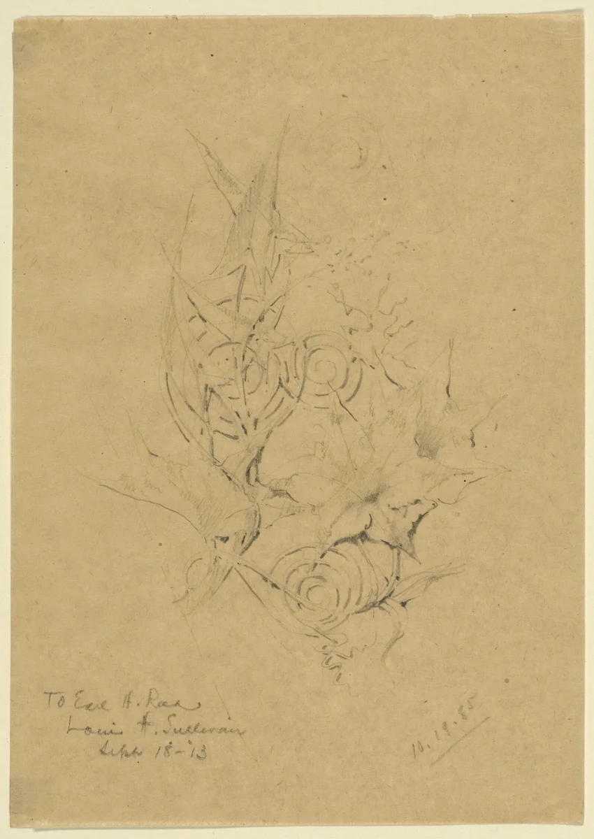 Plant Form Study by Louis Sullivan, other, 1885