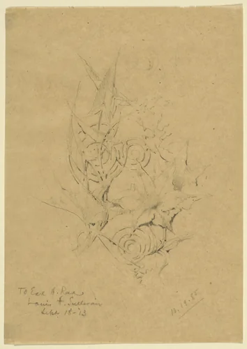 Plant Form Study by Louis Sullivan, other, 1885
