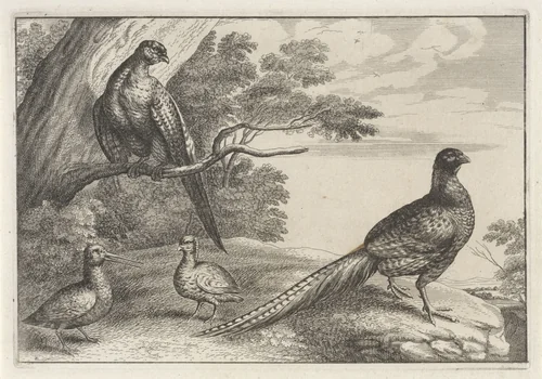 Vier vogels by anonymous, print, 1654-1712