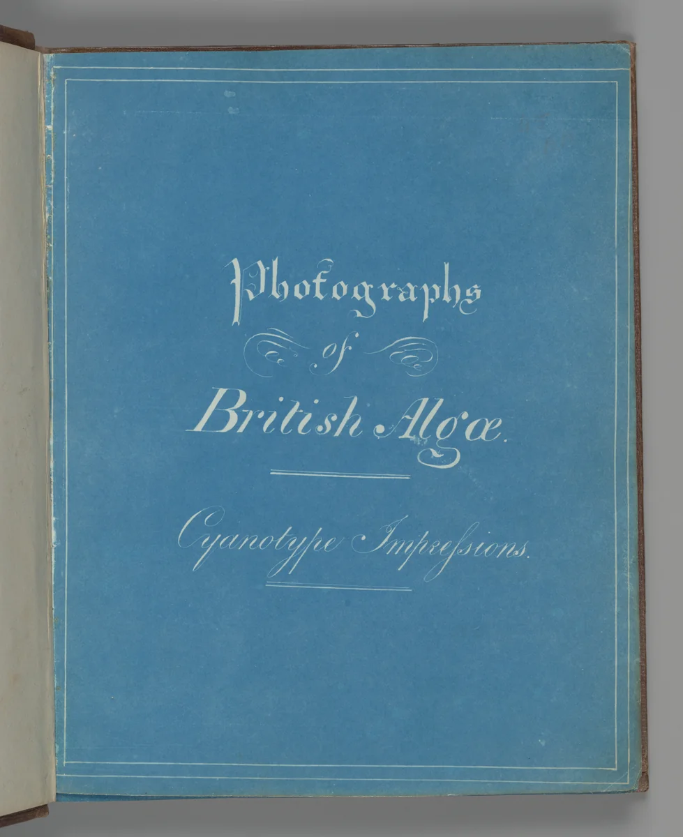 Photographs of British Algae: Cyanotype Impressions by Anna Atkins, photograph, 1851-1855