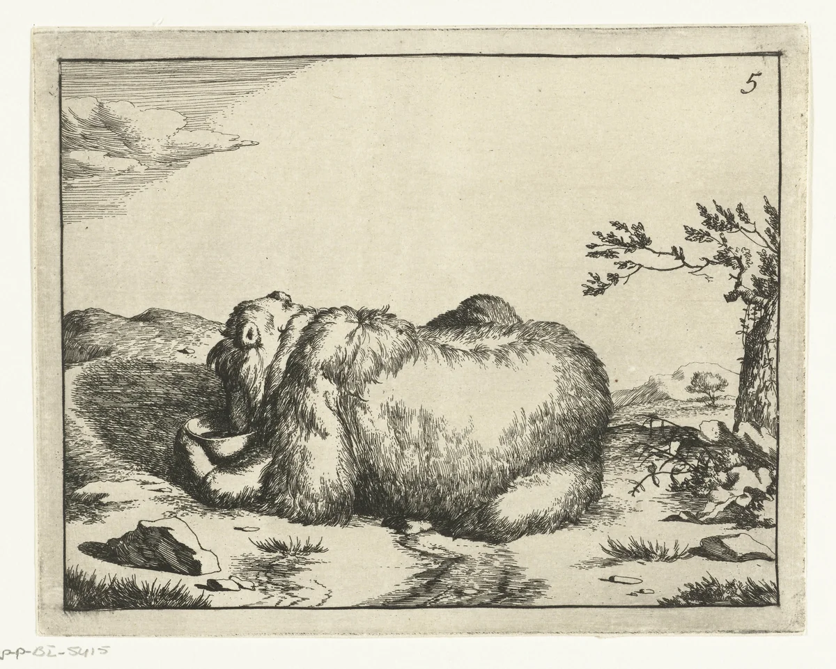 Liggende beer, van achter, drinkend uit kom by Marcus de Bye, print, 1664