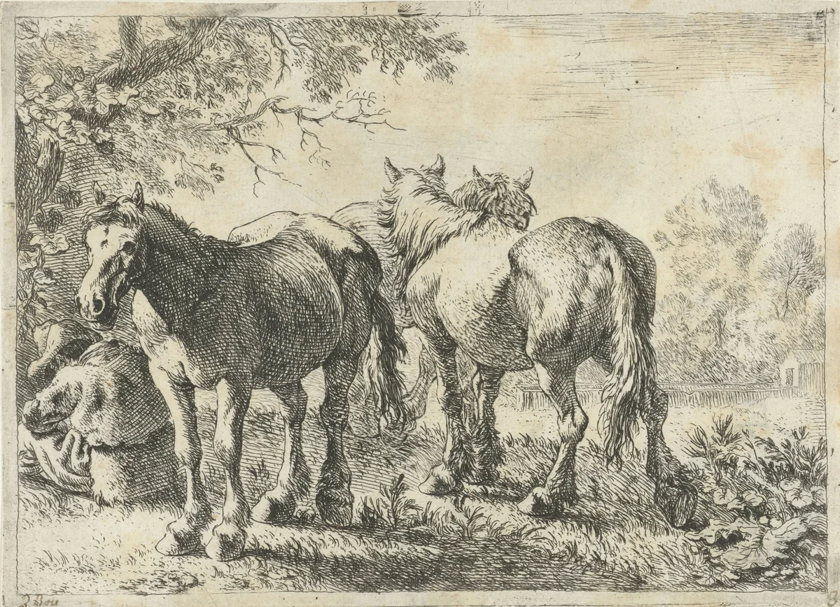 Drie paarden en een boer by Pieter Bodding van Laer, print, 1636