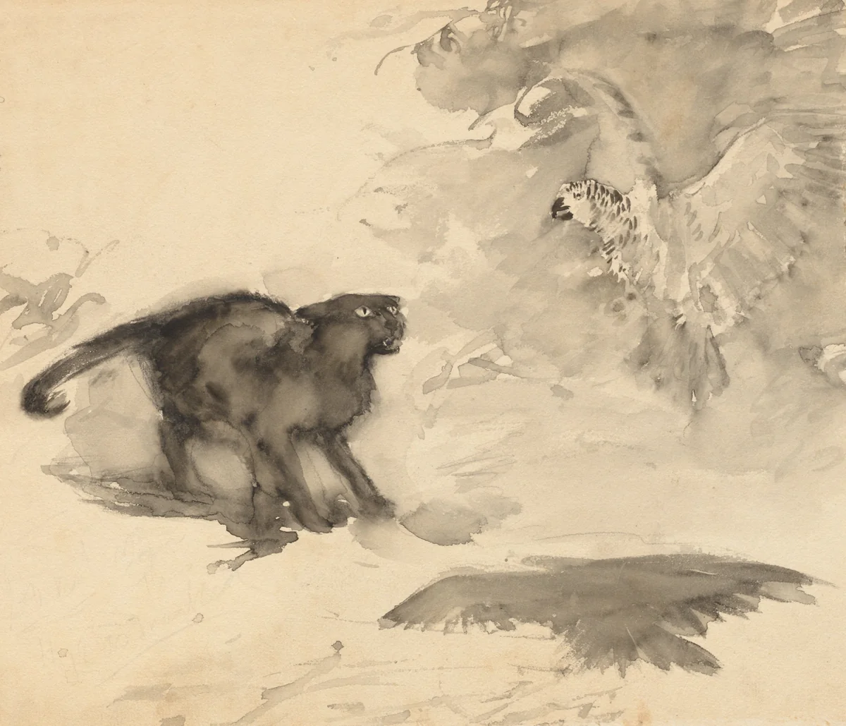 The Parrot and the Cat (Sketch for "Good-Night" by Eleanor Gates) by Arthur Rackham, drawing, 1900-1905