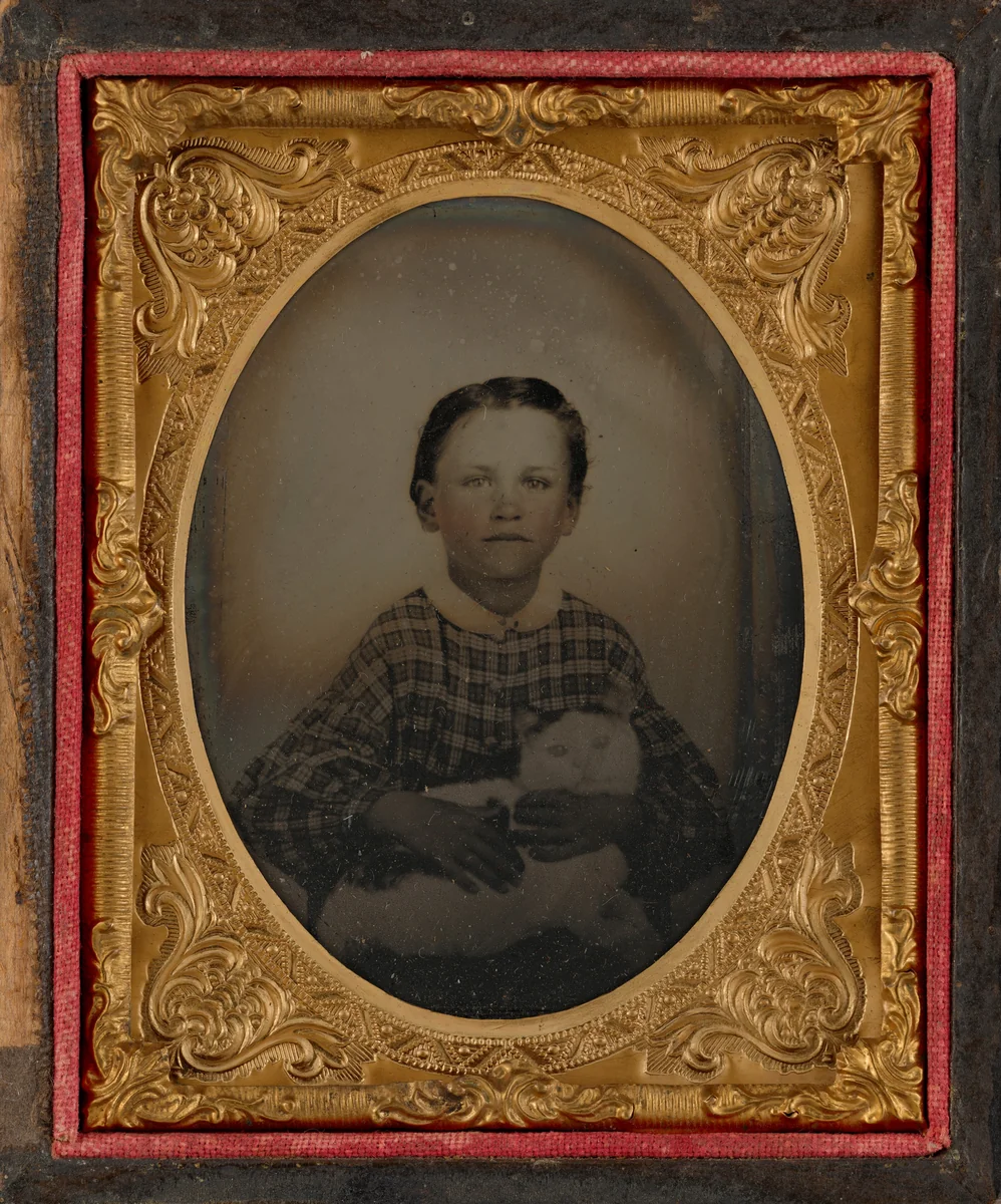 Portrait of a Child and Cat by American 19th Century, photograph, 1857-1867