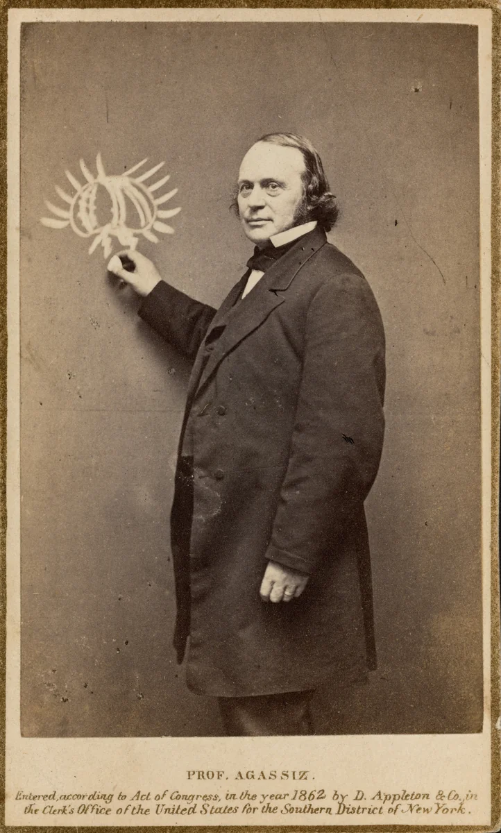 Louis Agassiz by Austin Turner, photograph, 1862