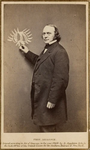Louis Agassiz by Austin Turner, photograph, 1862