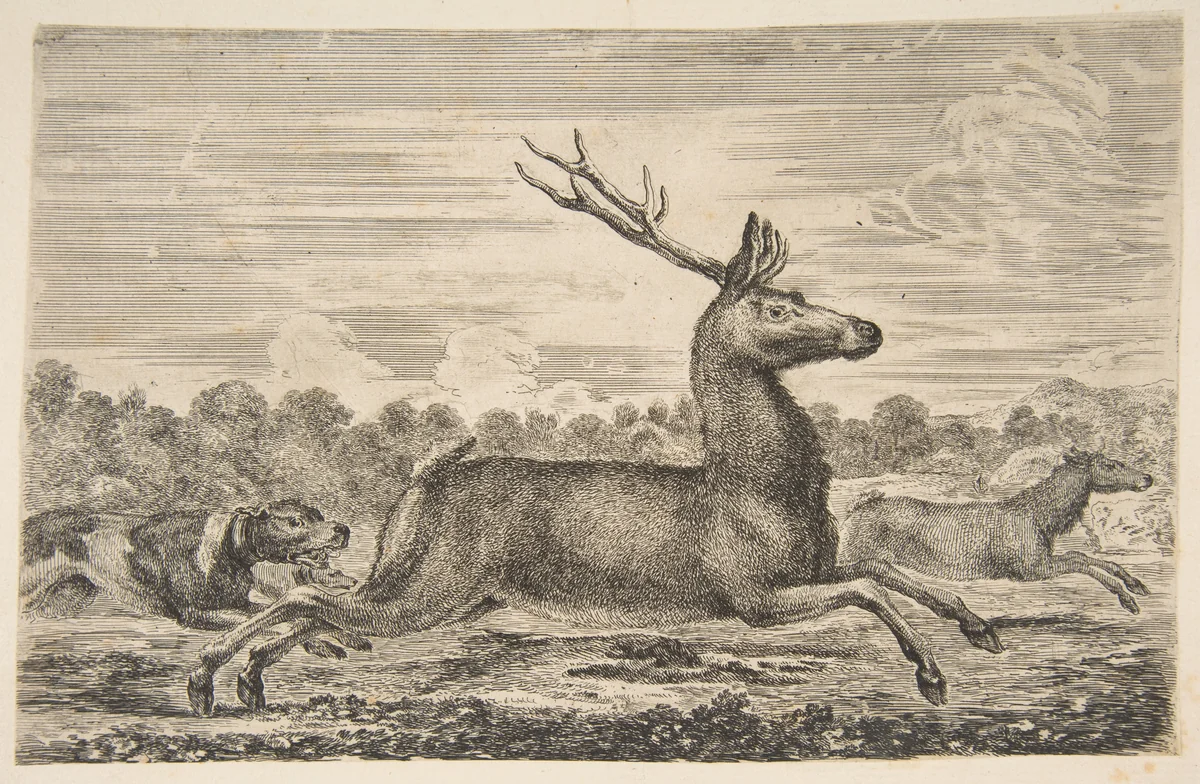 Hounds Chasing a Stag and a Doe by Stefano della Bella, print, 1649-1659