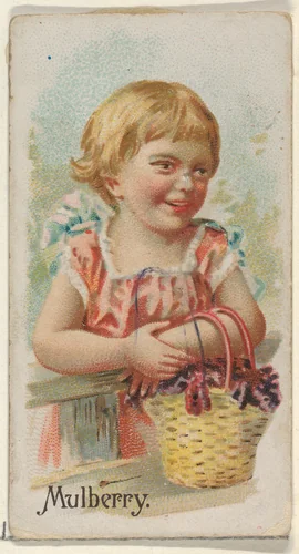 Mulberry, from the Fruits series (N12) for Allen & Ginter Cigarettes Brands by Allen & Ginter, print, 1891