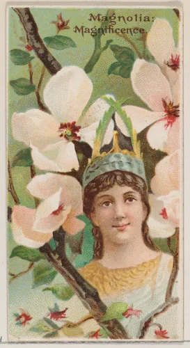 Magnolia: Magnificence, from the series Floral Beauties and Language of Flowers (N75) for Duke brand cigarettes by American Tobacco Company, print, 1892