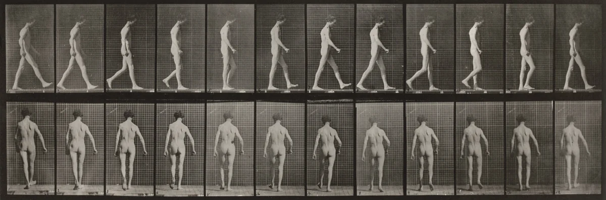Plate Number 546. Locomotor ataxia, walking by Eadweard Muybridge, photograph, 1887
