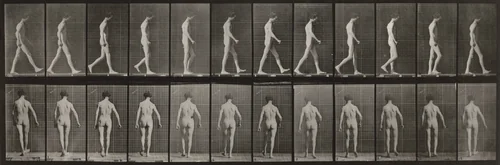 Plate Number 546. Locomotor ataxia, walking by Eadweard Muybridge, photograph, 1887