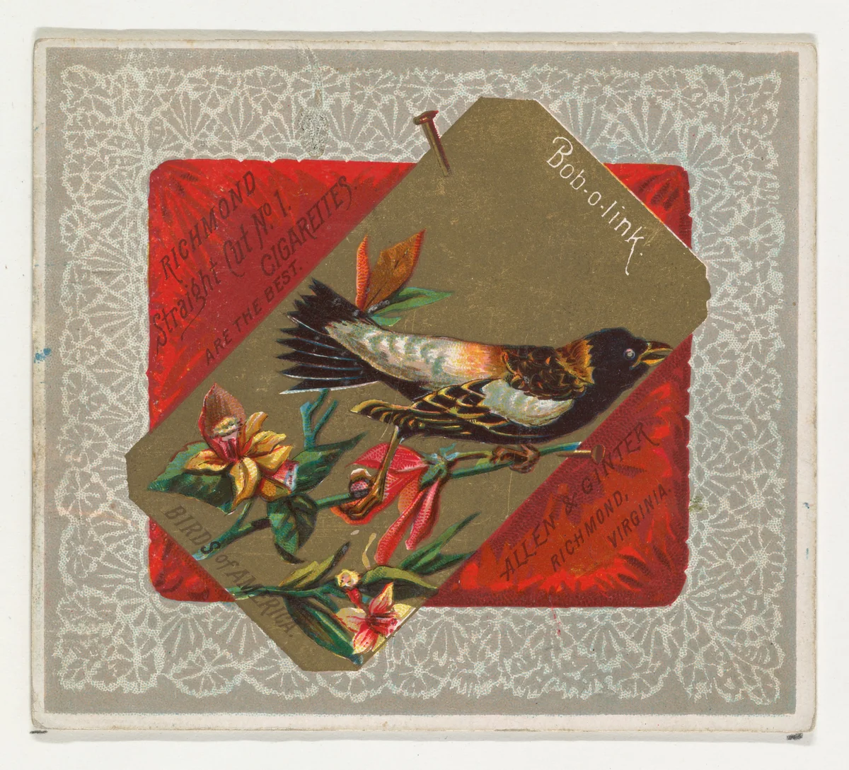 Bob-o-link, from the Birds of America series (N37) for Allen & Ginter Cigarettes by Allen & Ginter, print, 1888