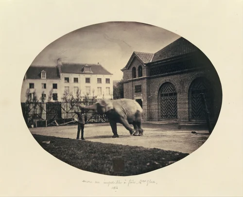 Another Impossible Task by Louis Pierre Théophile Dubois de Nehaut, photograph, 1854