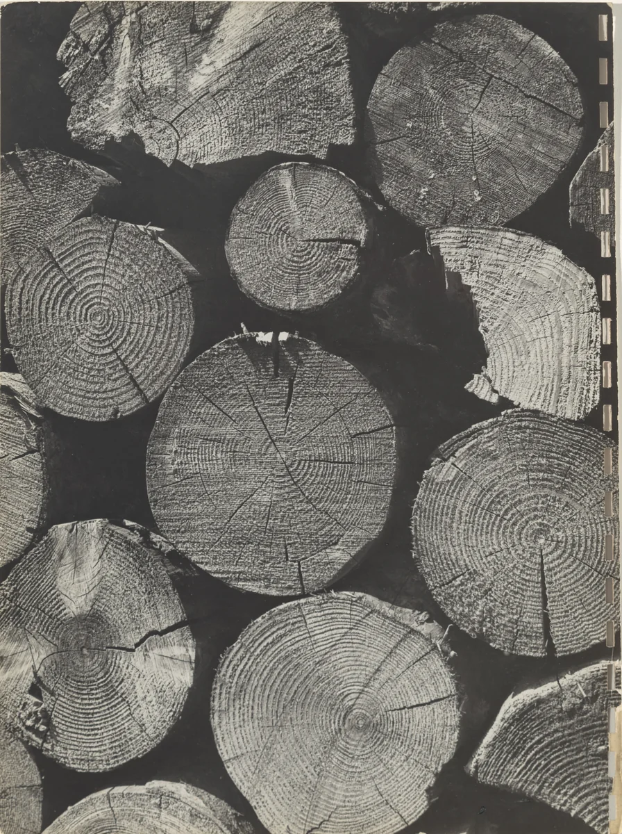 40 Fotos, page 7 by Robert Frank, photograph, 1946