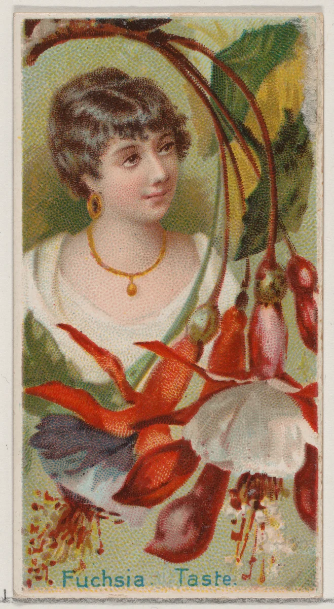 Fuchsia: Taste, from the series Floral Beauties and Language of Flowers (N75) for Duke brand cigarettes by American Tobacco Company, print, 1892