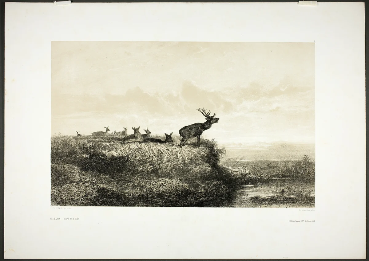 The Morning: Stags and Does by Karl Bodmer, print, 1858