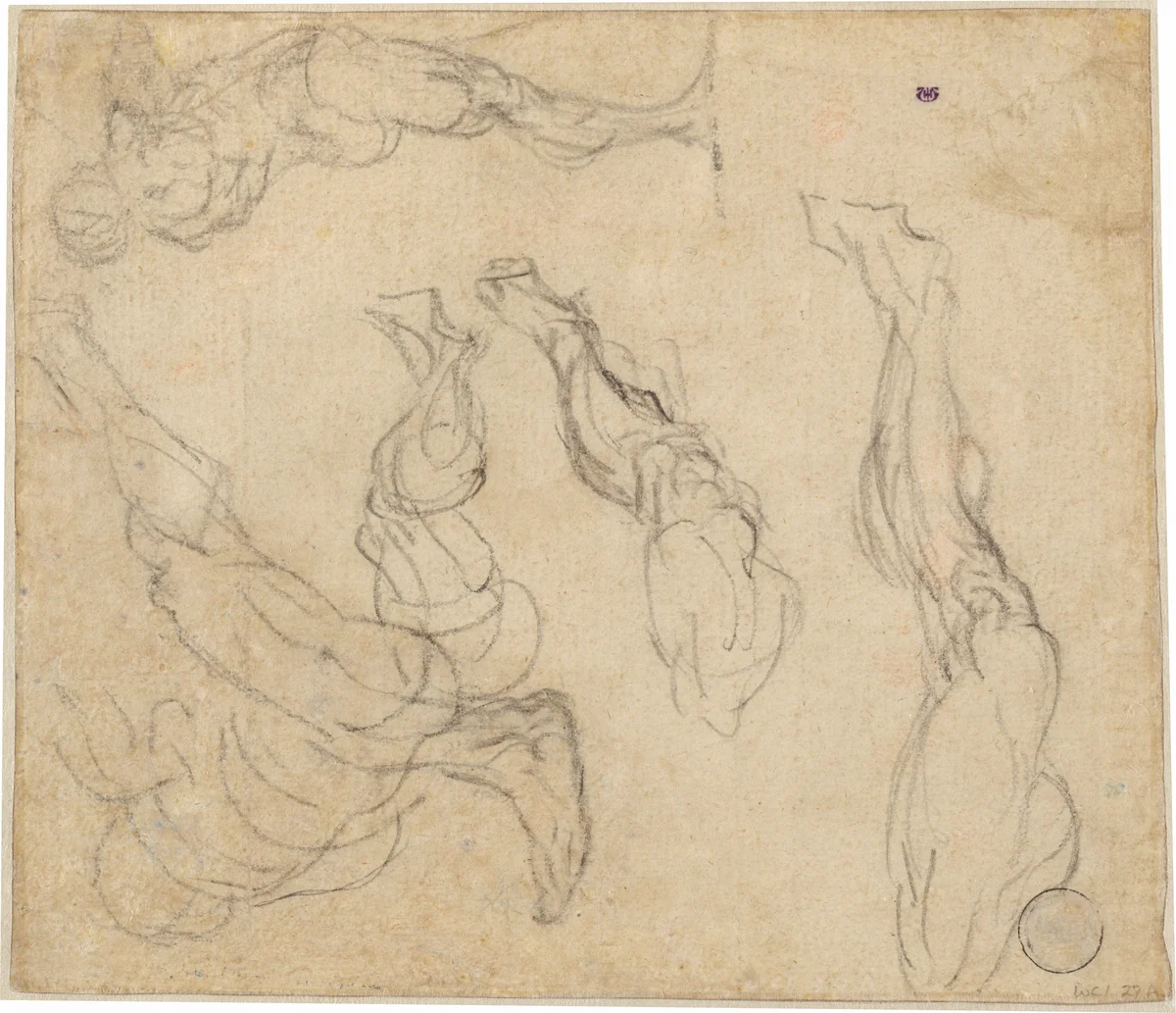 Head of a Boy (verso) by Giulio Campagnola; Giorgione, drawing, 1513