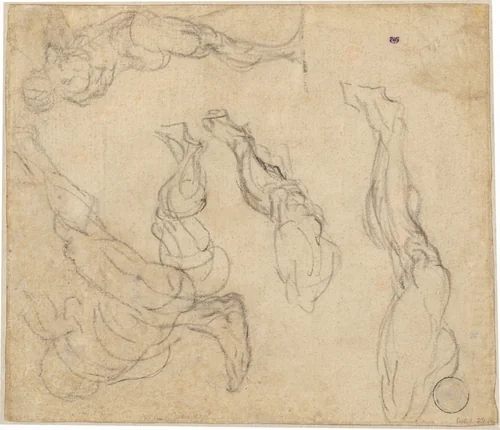 Head of a Boy (verso) by Giulio Campagnola; Giorgione, drawing, 1513