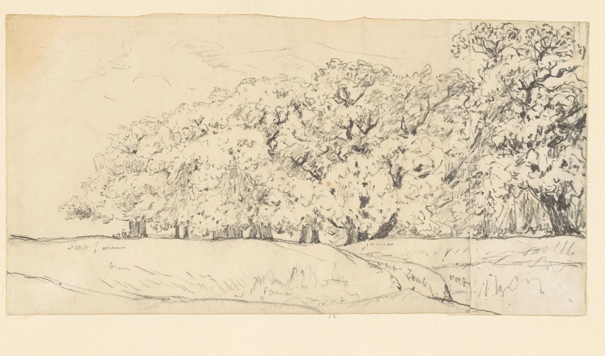 Schetsje van een bosrand by Théodore Rousseau, drawing, 1822-1867