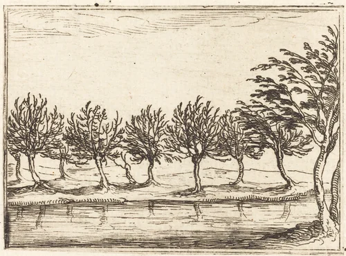 Willows by the Water's Edge by Jacques Callot, print, 1628