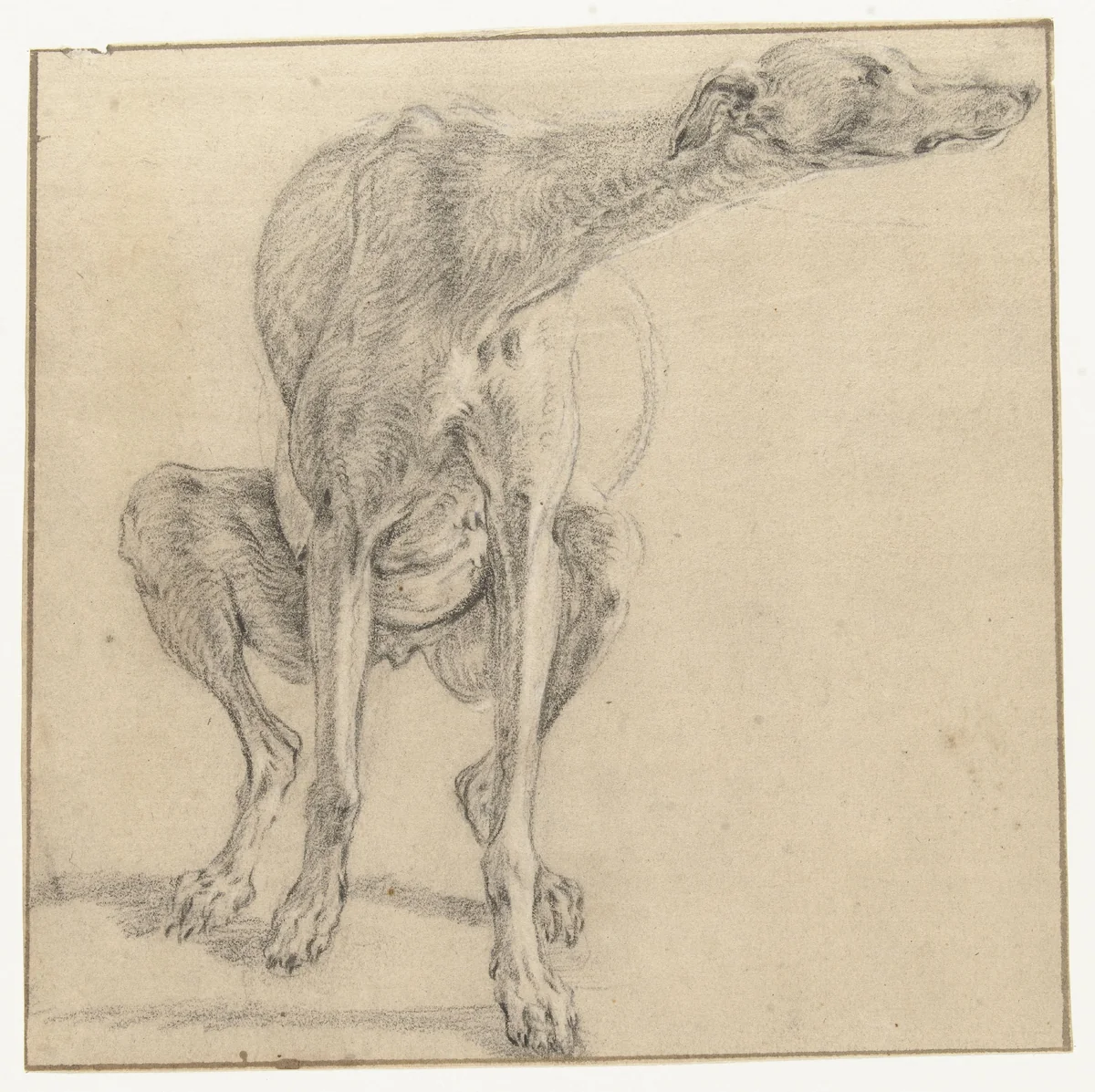 Een zittende hond, zich ontlastend, van voren gezien by Frans Snijders, drawing, 1589-1657