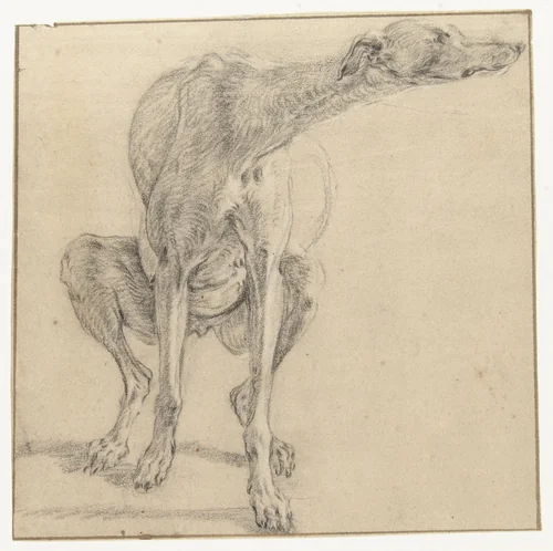 Een zittende hond, zich ontlastend, van voren gezien by Frans Snijders, drawing, 1589-1657