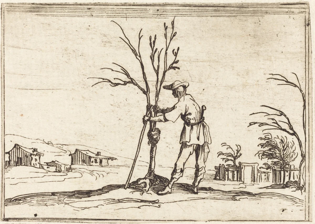 Gardener Pruning a Tree by Jacques Callot, print, 1628