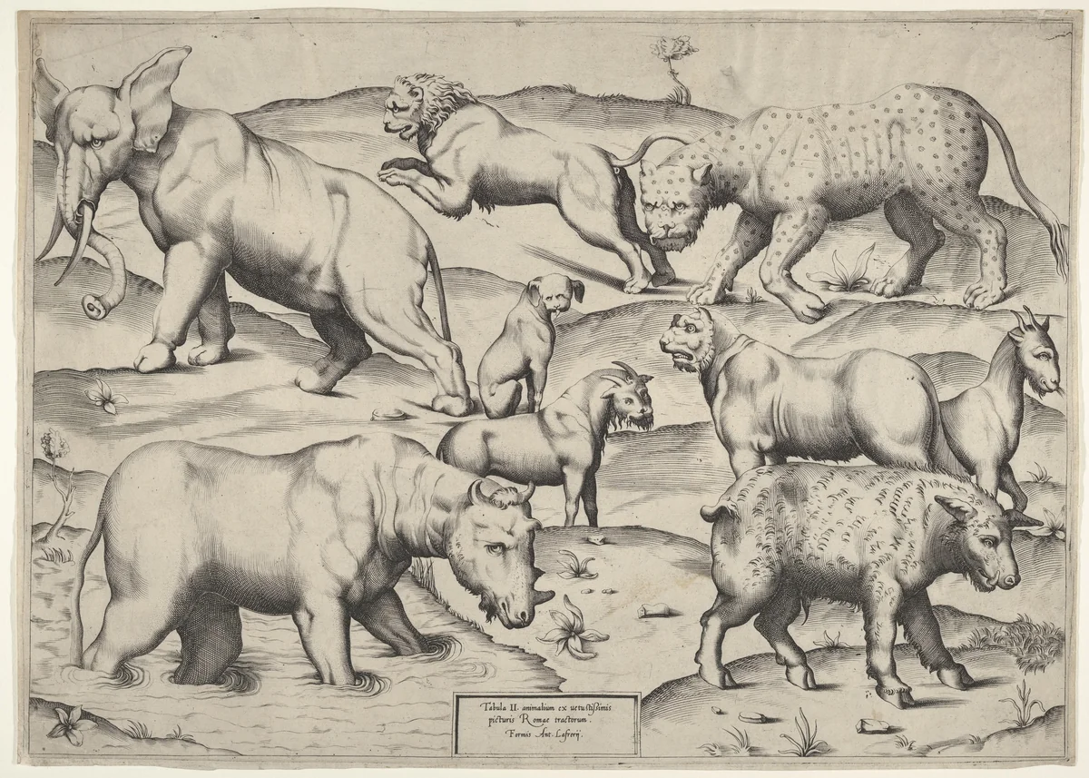 Various Animals by anonymous, print, 1540-1600