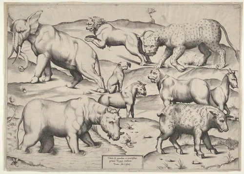 Various Animals by anonymous, print, 1540-1600