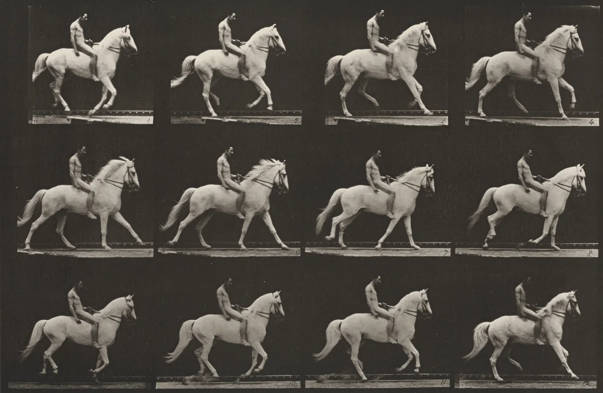 Plate Number 617. "Clinton" cantering, bareback; rider nude by Eadweard Muybridge, photograph, 1887