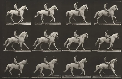 Plate Number 617. "Clinton" cantering, bareback; rider nude by Eadweard Muybridge, photograph, 1887