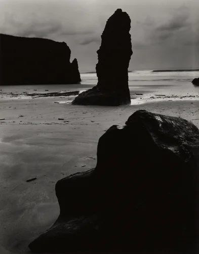 California, North Coast by Brett Weston, photograph, 1950-1959