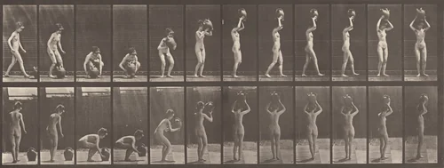 Plate Number 222. Stooping, lifting a water jar to head and turning by Eadweard Muybridge, photograph, 1887