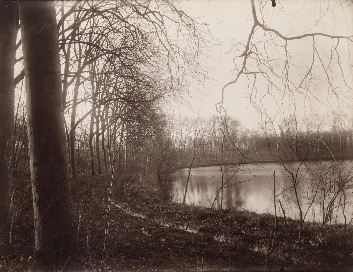 Parc de Sceaux by Eugène Atget, photograph, 1925