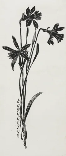 Daffodils by Harry Fenn, drawing, 1857-1911