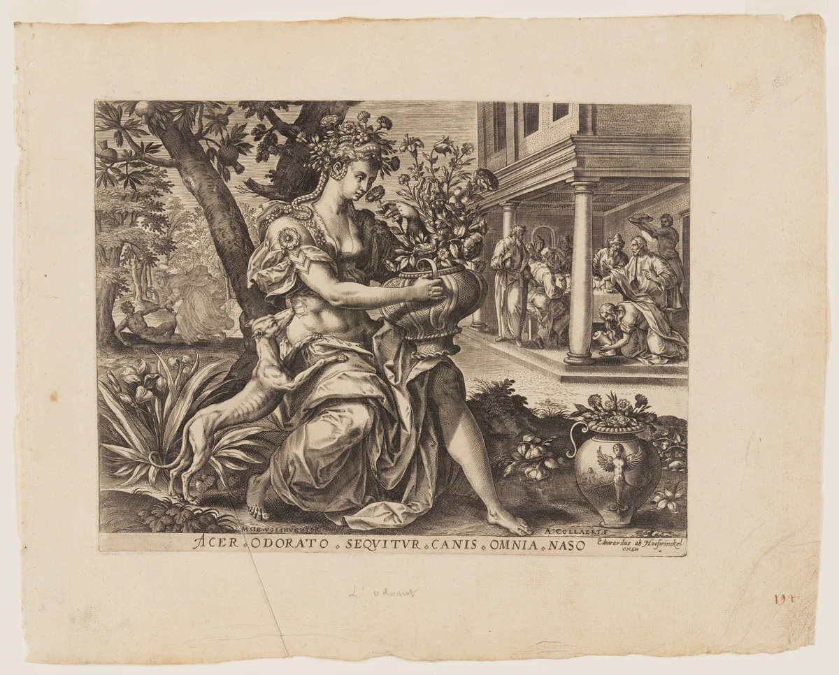 Smell, from The Five Senses by Adriaen Collaert, print, 1580-1590
