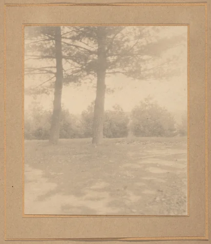 Landscape with trees by Joseph T. Keiley, photograph, 1895-1905