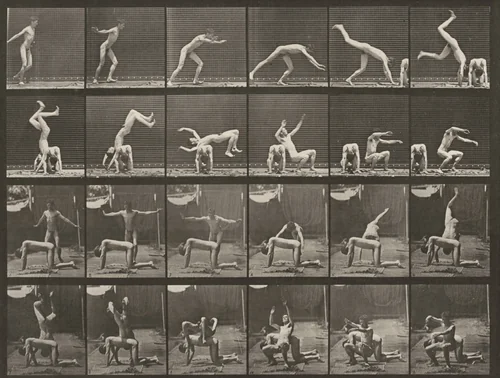 Plate Number 364. Handspring over a man's back by Eadweard Muybridge, photograph, 1887