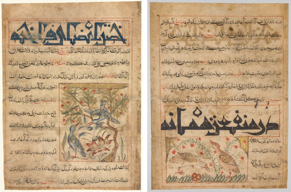 Qualities of Ringdoves (recto); On the Benefits of Quails (verso), from a Persian Manafi‘ al-Hayawan (The Benefits of Animals) of Abu Said Ubaid-Allah ibn Jibrail ibn Bakhtishu (died 1058–68) by Unknown, manuscript, 1295-1305