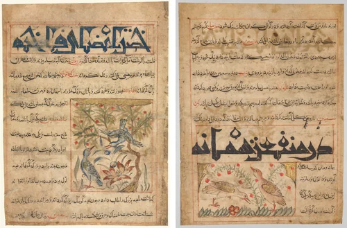 Qualities of Ringdoves (recto); On the Benefits of Quails (verso), from a Persian Manafi‘ al-Hayawan (The Benefits of Animals) of Abu Said Ubaid-Allah ibn Jibrail ibn Bakhtishu (died 1058–68) by Unknown, manuscript, 1295-1305