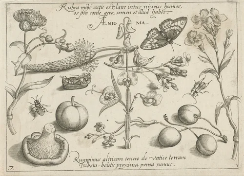 Insecten, planten en vruchten rond een pronkerwt by Jacob Hoefnagel, print, 1592