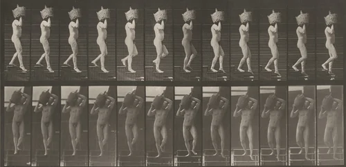 Plate Number 136. Descending stairs, a full demijohn on shoulder by Eadweard Muybridge, photograph, 1887