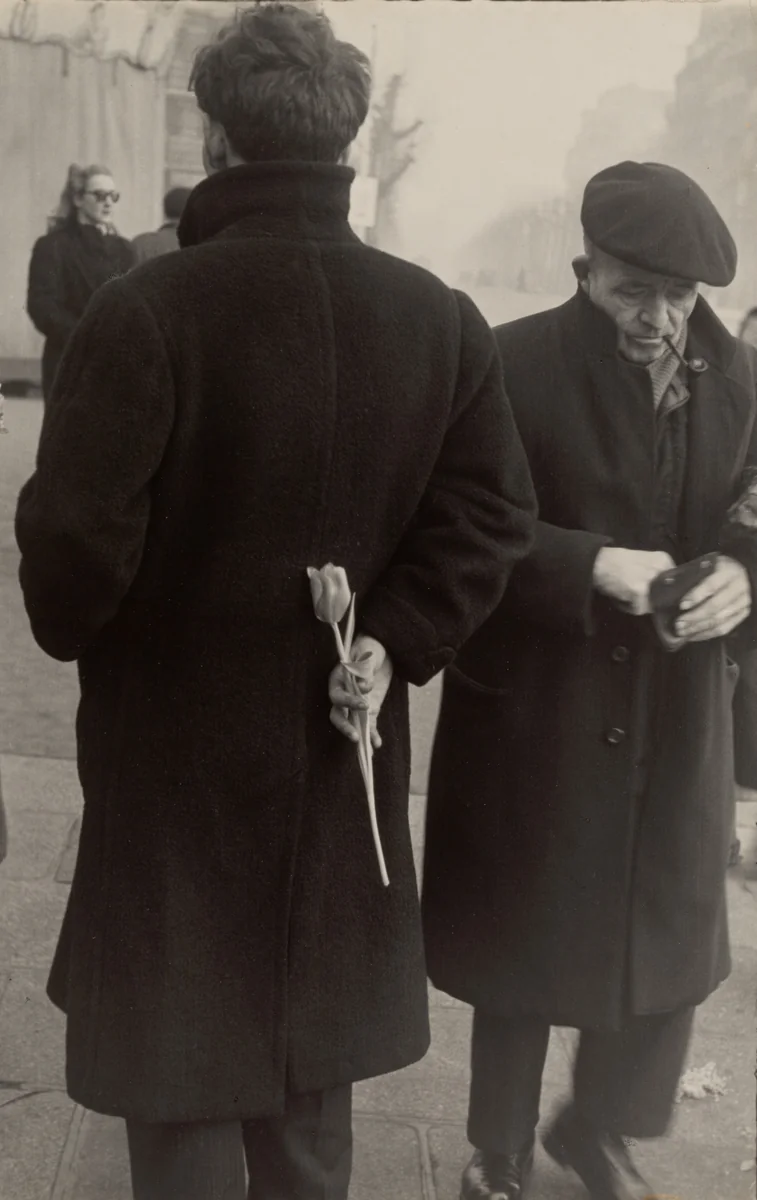 Tulip/Paris by Robert Frank, photograph, 1950