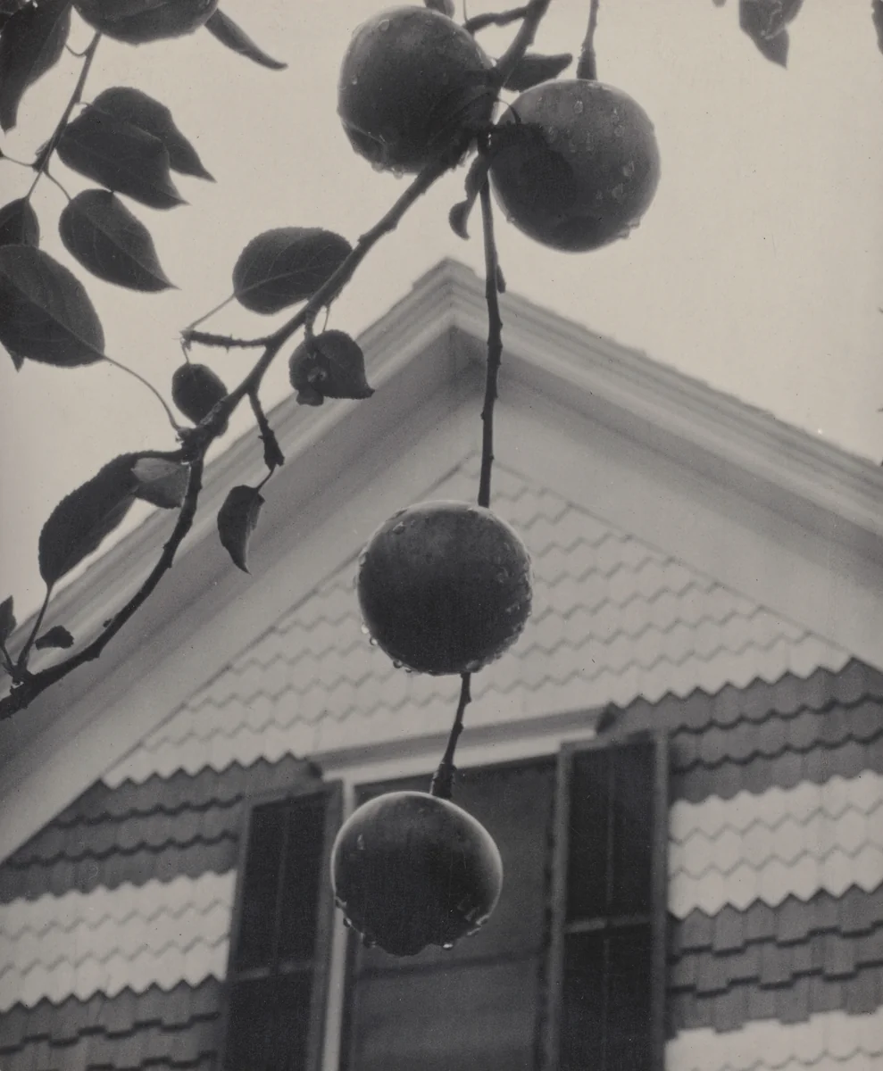 Gable and Apples by Alfred Stieglitz, photograph, 1922