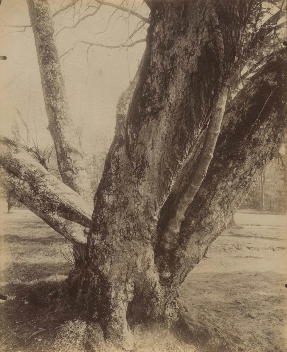 Petit Trianon by Eugène Atget, photograph, 1910
